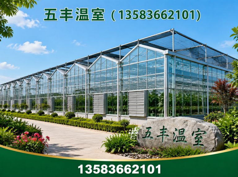 昌邑市大棚建设展示图